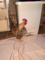 WP_20180103_19_52_16_Pro_LI.jpg