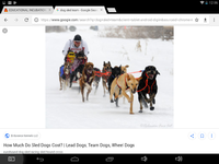 Screenshot_2018-01-06-12-06-13.png