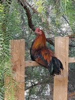 20180106_095639.jpg