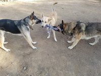 20171230_091101.jpg
