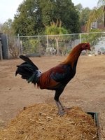 20180107_081530.jpg