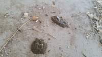 20180107_162828.jpg