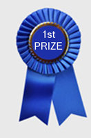 1st prize.jpg