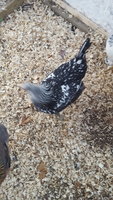 20180109_094059.jpg