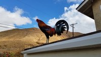 20180109_104742.jpg