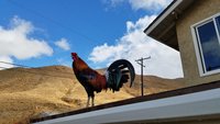 20180109_104738.jpg