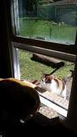 20170714_112152.jpg