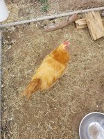 20180110_150841.jpg