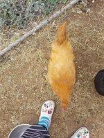 20180110_150903.jpg