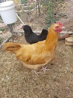 20180110_150847.jpg