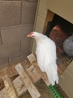 20180110_150913.jpg