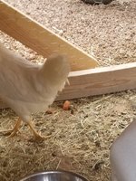 20180110_151042.jpg