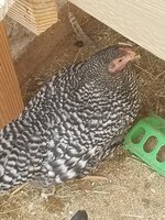 20180110_151201.jpg