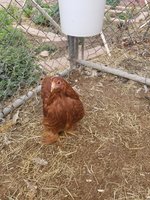 20180110_150958.jpg