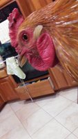 20180110_171926.jpg