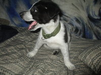IMG_2811.JPG