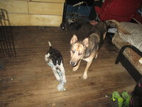 IMG_2878.JPG