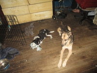 IMG_2879.JPG
