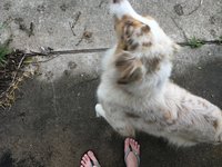 25079E27-0AB3-4F73-A5B4-855CC1379F01.jpeg