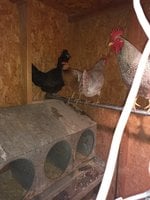 IMG_20180110_170734879.jpg