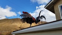 20180109_104746.jpg