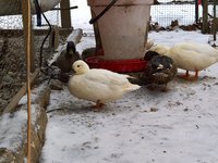 WP_20180108_10_07_09_Pro_LI.jpg