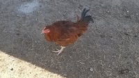 20180113_112849.jpg