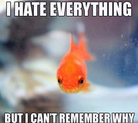 fishmeme01-1.jpg