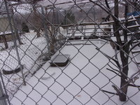 100_1774.JPG