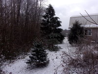 100_1776.JPG