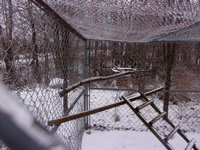100_1778.JPG
