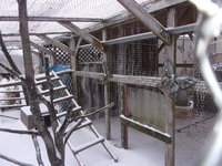 100_1780.JPG