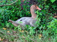DSC07923.JPG