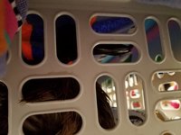 20180105_125946.jpg