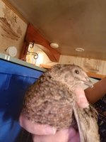 20180113_192934.jpg