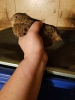 20180113_193017.jpg