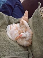 WP_20180113_13_37_00_Pro_LI.jpg