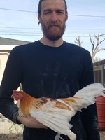 20180114_094519.jpg