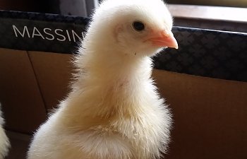 20171105_113751.jpg