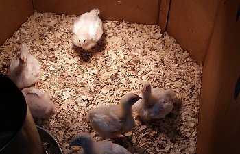 20171118_185932.jpg