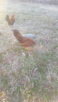 20180114_165135.jpg