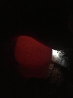 4D1CF83F-E4EE-4155-8046-62B4DB489E8D.jpeg