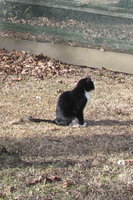 Brother and fence.JPG