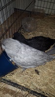 20180114_195638.jpg