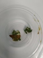 IMG_20180115_132206.jpg
