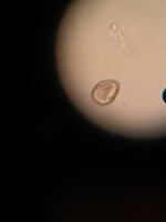 IMG_20180115_151426.jpg