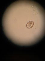 IMG_20180115_151430.jpg