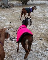 IMG_20180114_085842.jpg