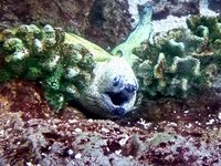 20180114_173005.jpg