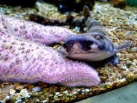 20180114_170031.jpg